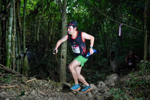 BIB: 
                            <button type="button" onclick="openModal(19439430)" class="btn btn-primary btn-sm float-right btn-popup" data-toggle="modal" data-target=".modal-high-quality">
                        <i class="fas fa-shopping-cart"></i> Add to Cart
                    </button>
                                            <button type="button" onclick="isThisMe(19439430, true)" class="btn btn-success btn-sm float-right btn-popup btn-isme hidden" data-toggle="tooltip" data-placement="bottom" title="นี่คือรูปของคุณใช่ไหม คลิกที่นี่เพื่อเอาเข้าอัลบั้ม">
                        <i class="fas fa-plus"></i> Add to album
                    </button>
                    <button type="button" onclick="isThisMe(19439430, false)" class="btn btn-warning btn-sm float-right btn-popup btn-isnotme hidden">
                        <i class="fas fa-ban"></i> Remove from album
                    </button>